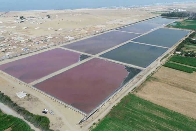 Huanchaco presenta medida cautelar contra Sedalib por problema con planta de aguas residuales