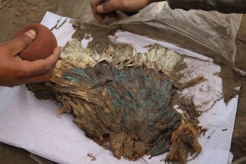 Pampa La Cruz: hallan tocado chimú elaborado con plumas de aves exóticas