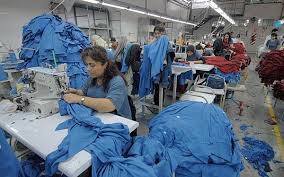 Psicóloga sugiere pautas para optar por nuevas opciones laborales