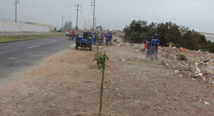 Realizan limpieza y arborización de la avenida Gonzáles Prada