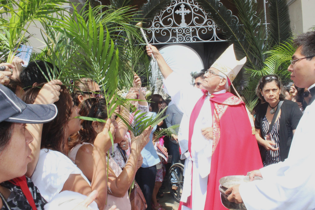 ¡Bendito el que viene!