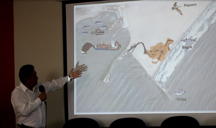 Peces del litoral trujillano están contaminados con minerales pesados