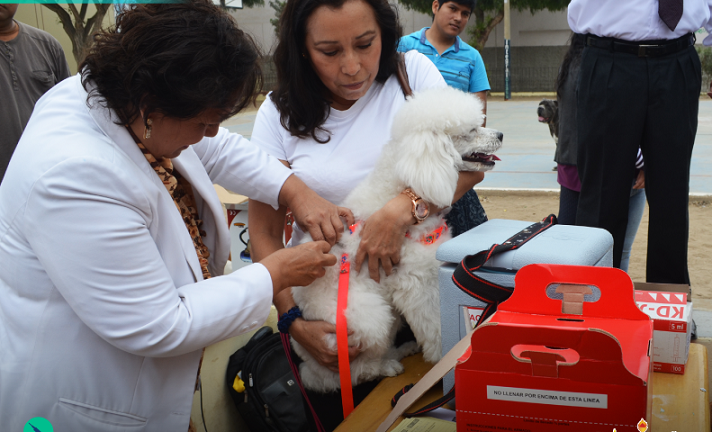 Más de 50 mascotas fueron inmunizadas en la Van Can 2015