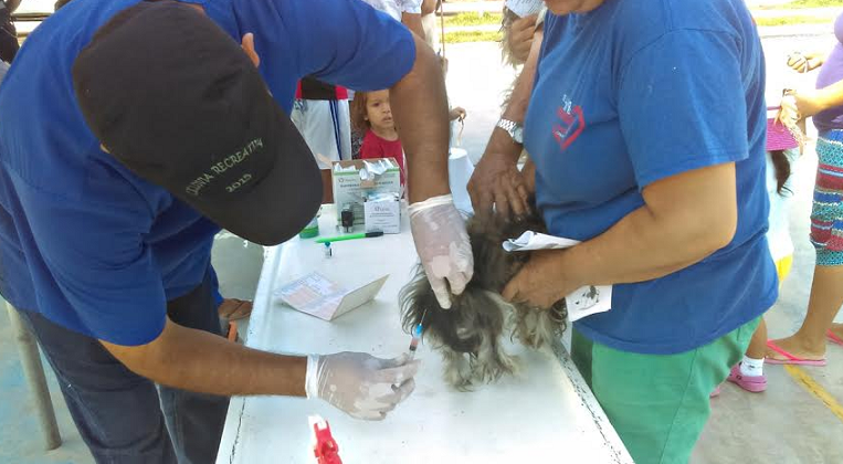 Más de cien perros y gatos fueron vacunados en urbanización Virgen de la Puerta