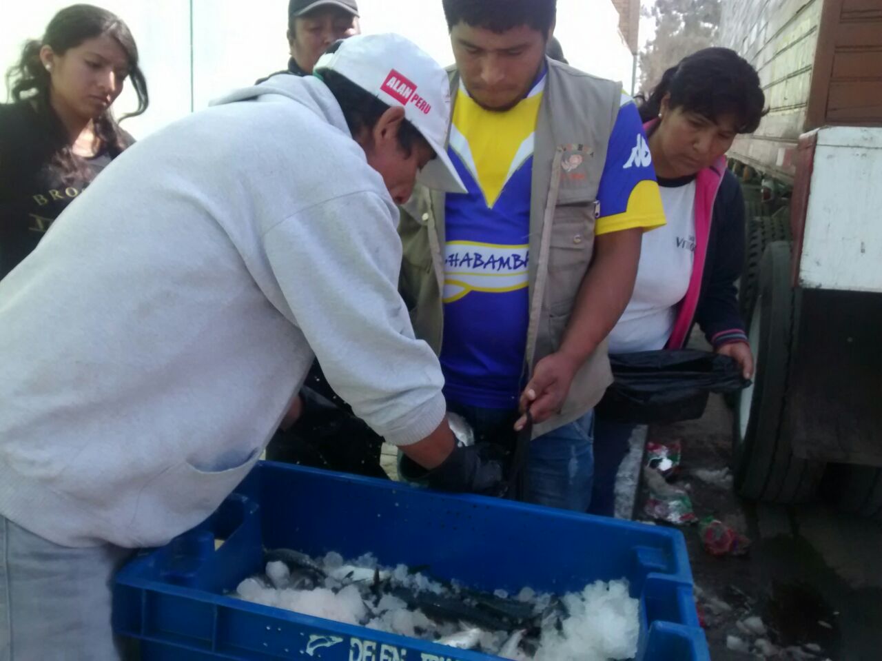 Reparten pescado gratis en Laredo
