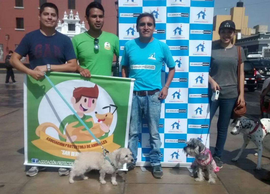 Trujillo: Piden hacer un alto a la pirotecnia en favor a los animales