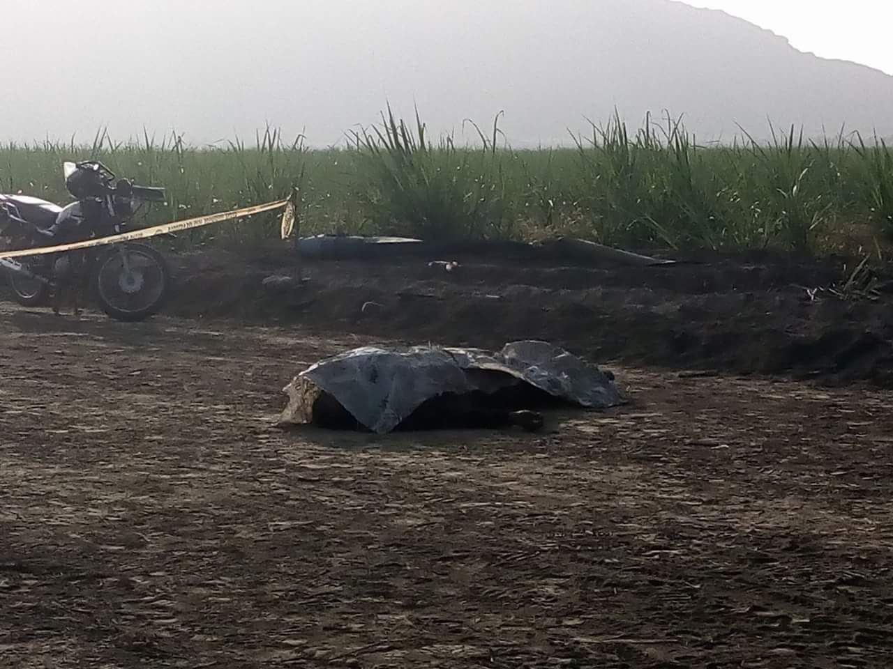 Encuentran cadáver de presunto delincuente en cañaverales de Casa Grande