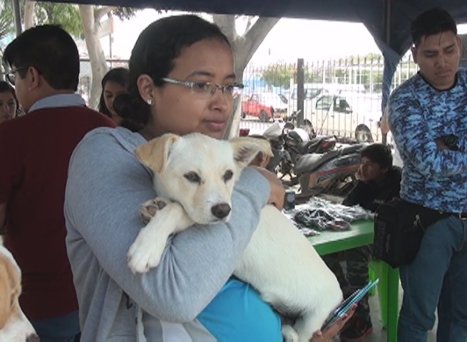 Trujillo: piden no usar pirotécnicos por amor a los animales