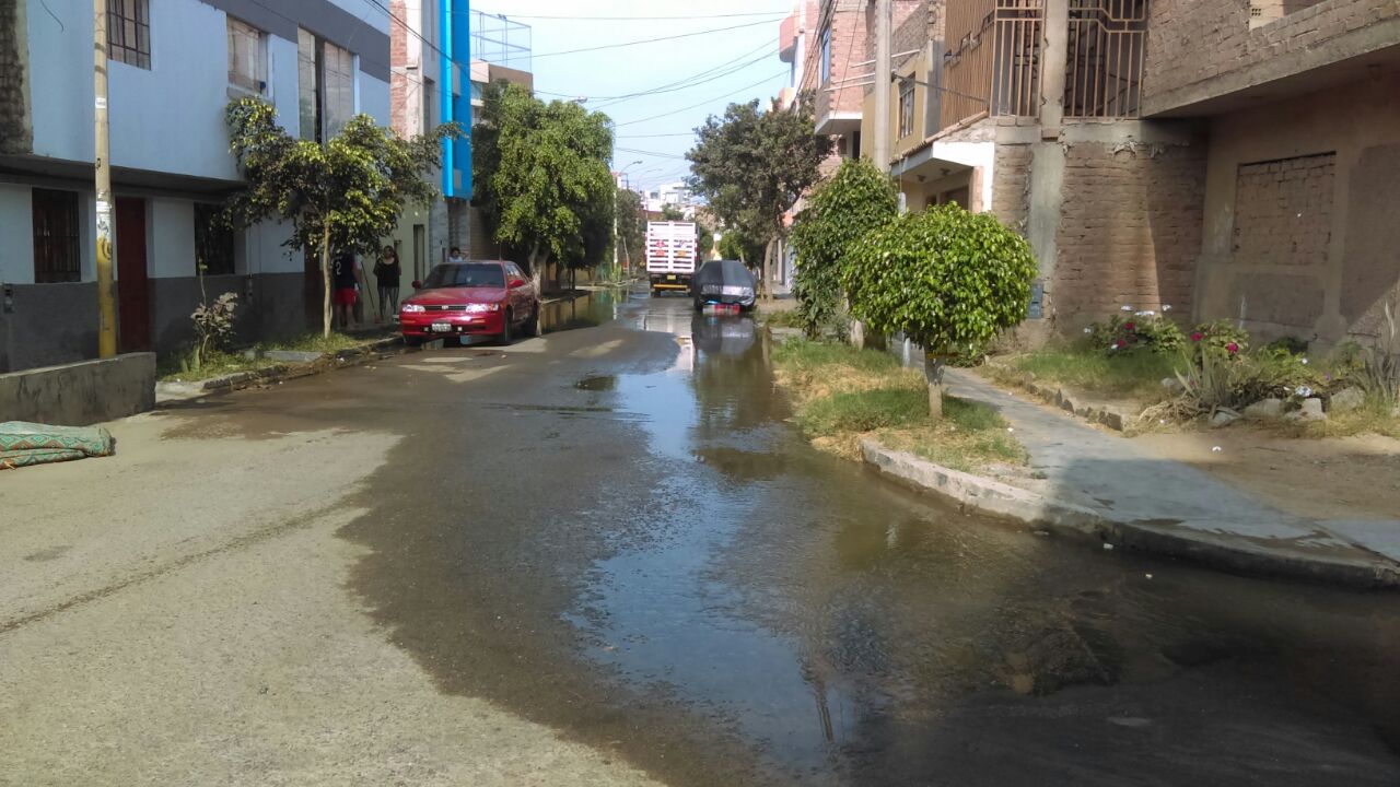 Aniego inunda jardines de casas en urbanización Las Quintanas