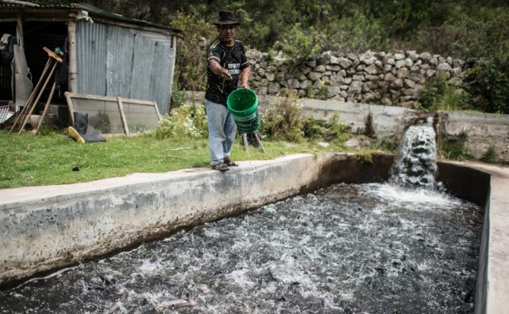 En el 2023 exportaciones a EE.UU. ascendieron a más de US$ 9 mil millones 