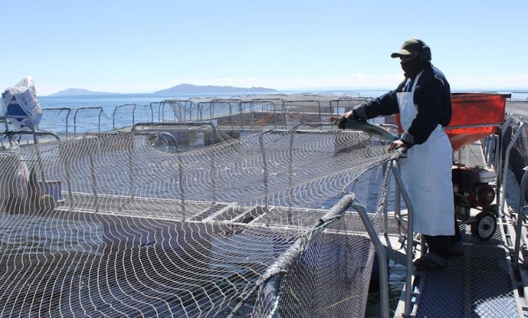 Exportaciones peruanas ascendieron a US$ 10 mil 339 millones en primer bimestre del año