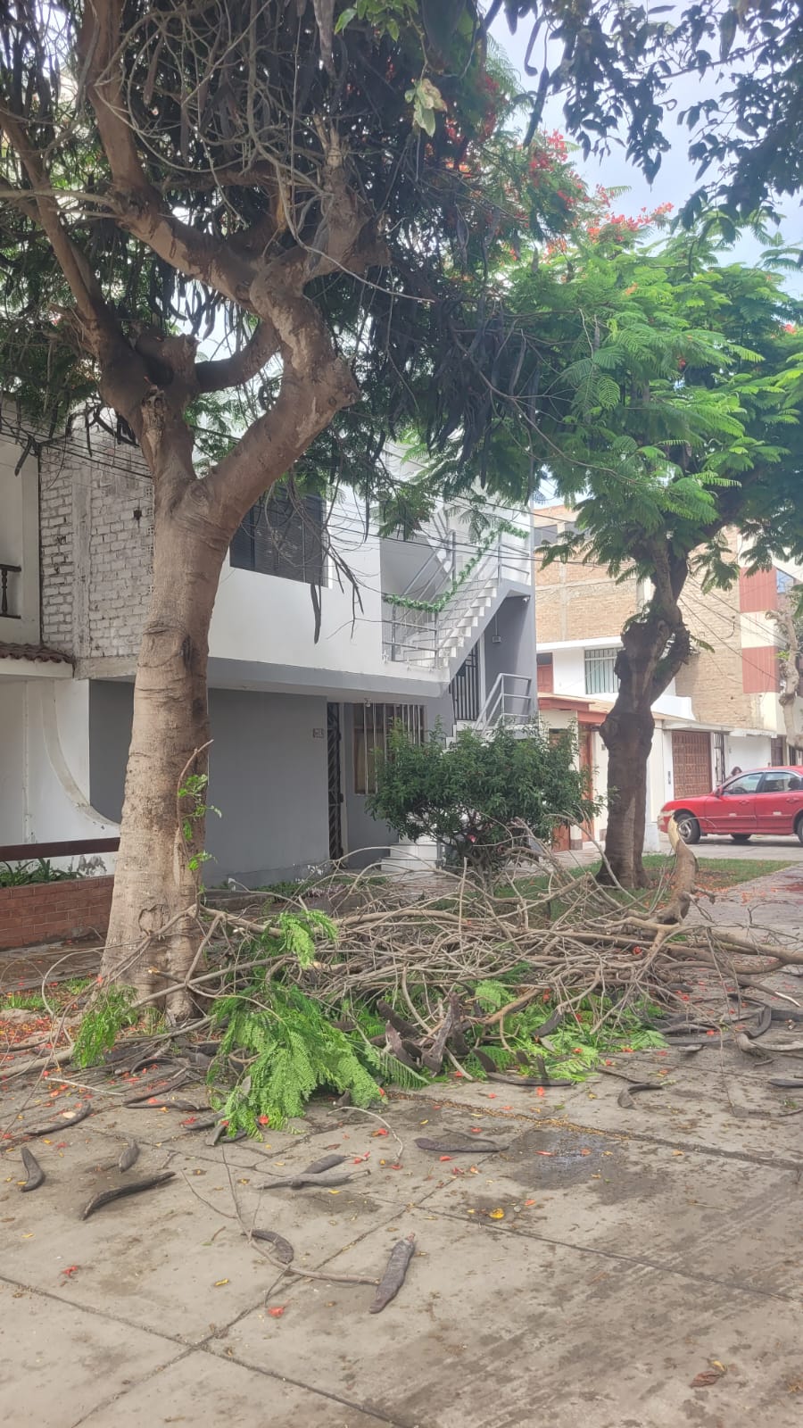 Trujillo: intensa lluvia registrada desde anoche genera aniegos, caída de cables y árboles en varios distritos