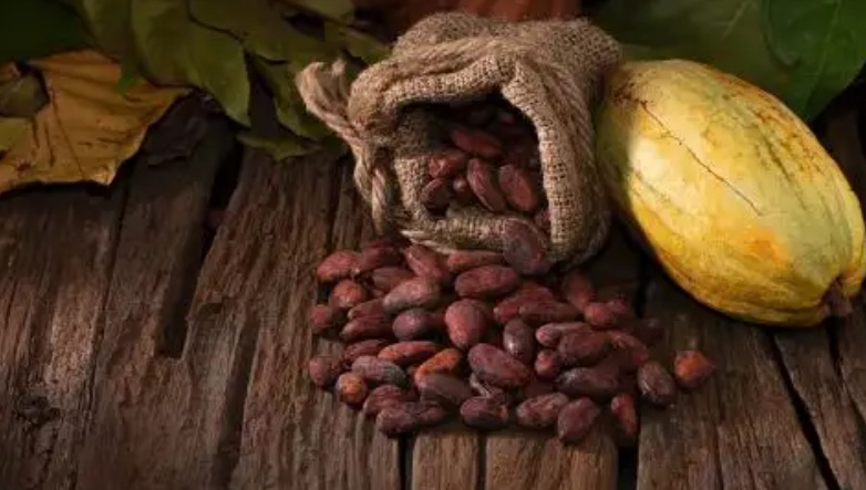 Exportaciones peruanas de productos agrícolas orgánicos crecieron 60%  