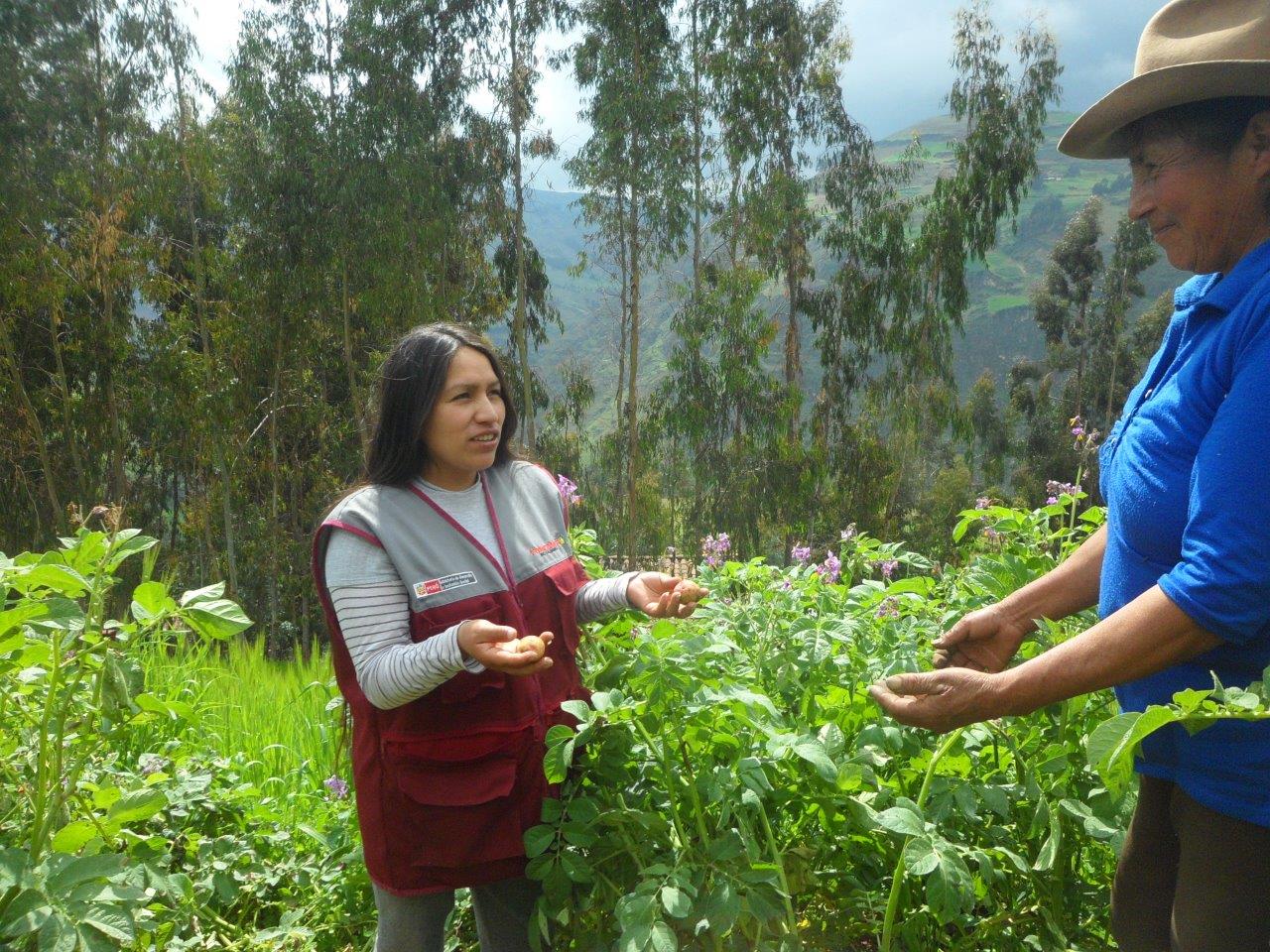 Más de 13 mil líderes promovidos por Foncodes capacitan a familias rurales